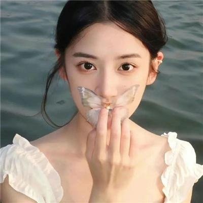 梅子鸡之味